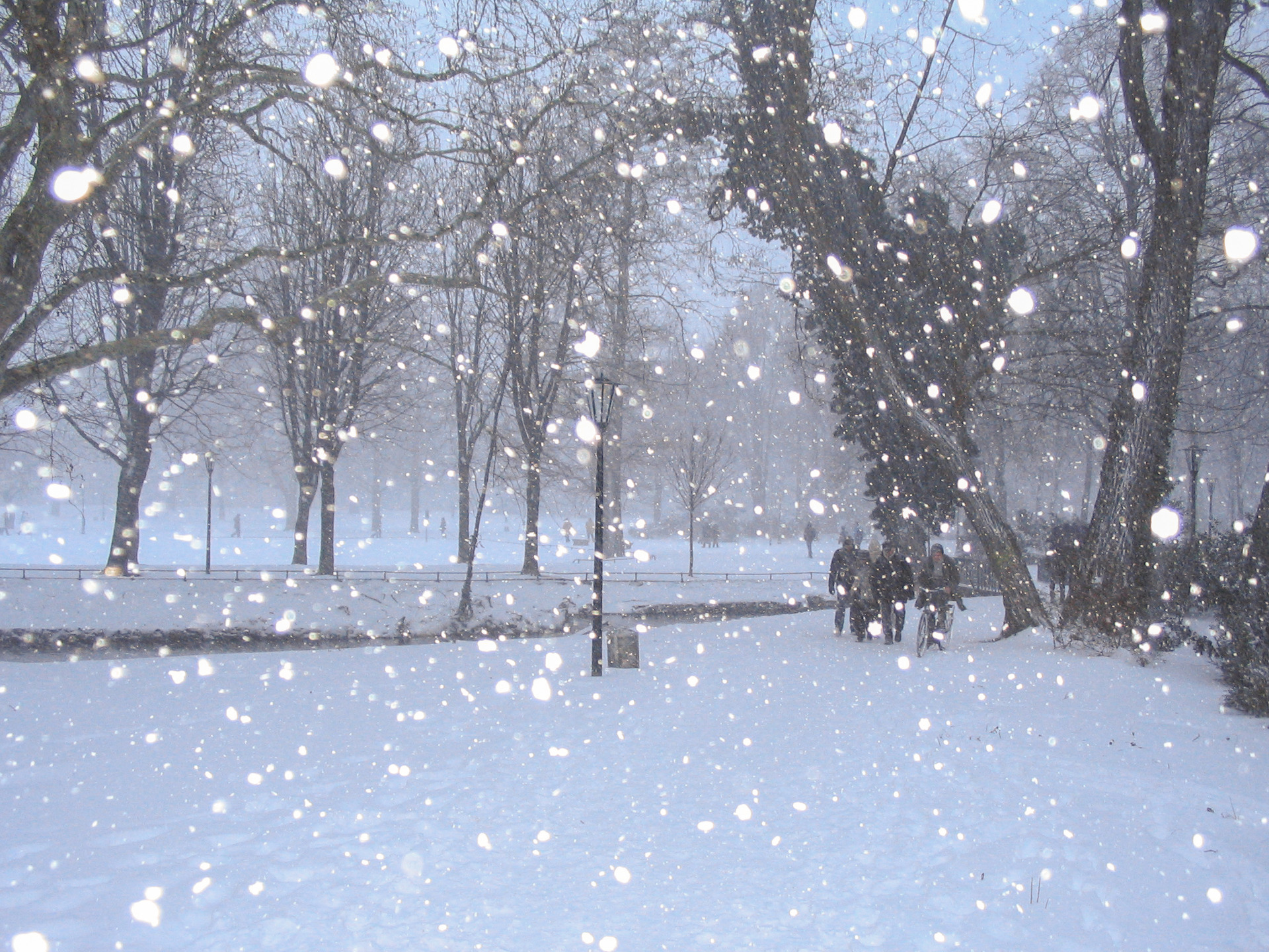 Düsseldorf_Hofgarten_2009.jpg via Wikimedia Commons